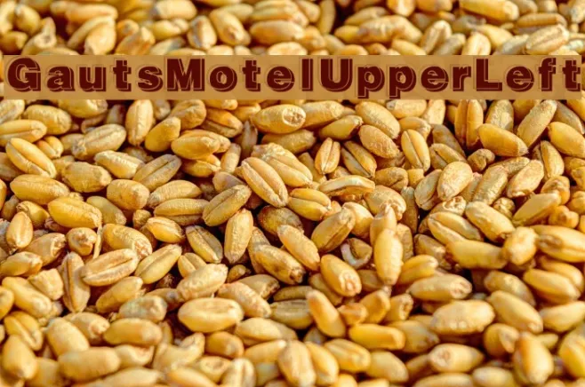 GautsMotelUpperLeft Example 3