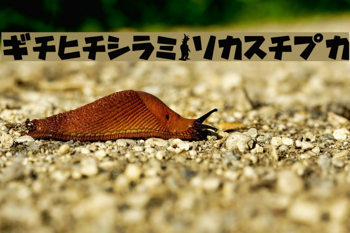 GavadonUltraKt Example 1