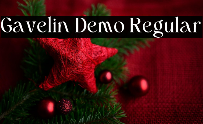 Gavelin Demo Regular 字体 examples