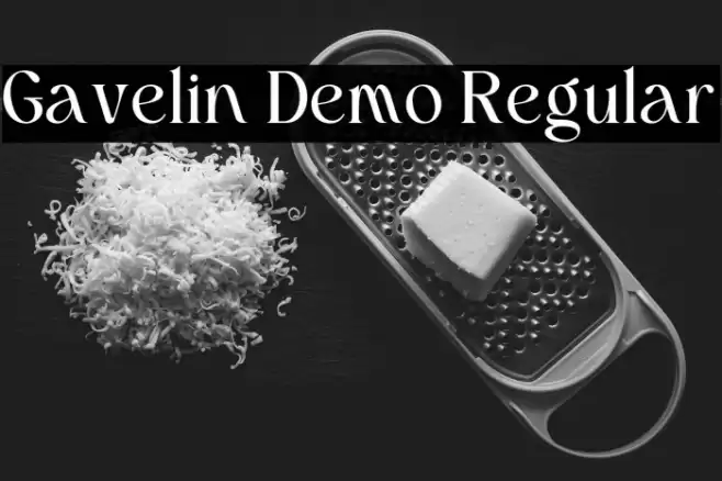 Gavelin Demo Regular Caratteri examples