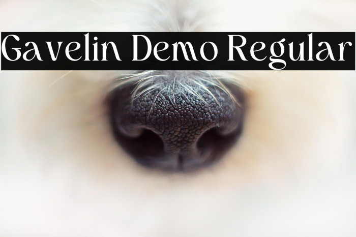 Gavelin Demo Regular 字体 examples