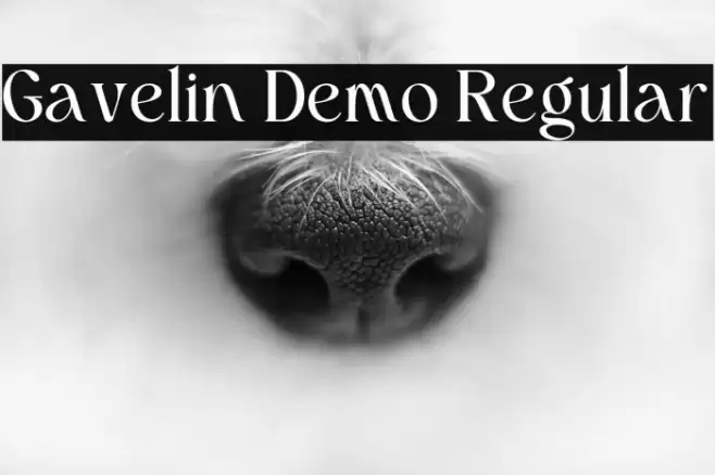 Gavelin Demo Regular Caratteri examples