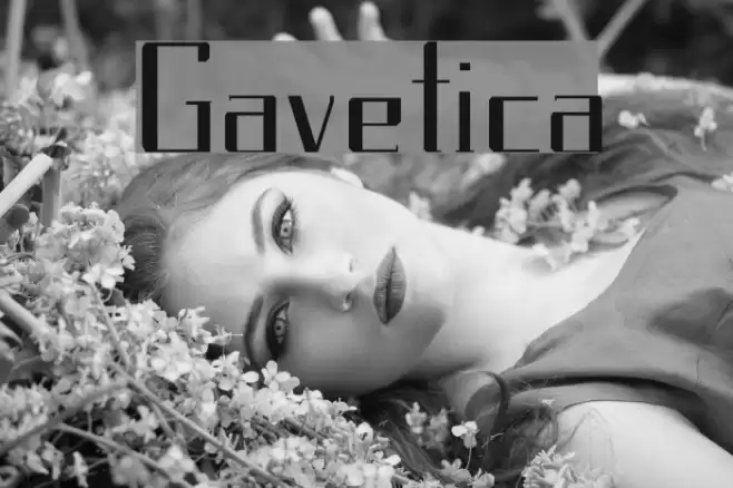 Gavetica Font examples