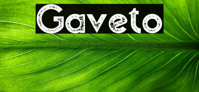 Gaveto Example 1