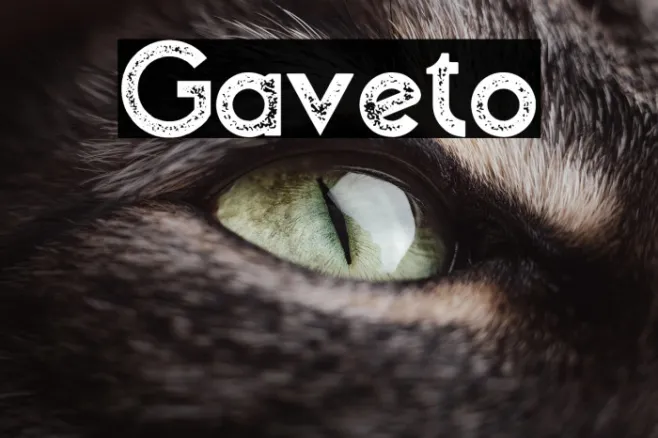 Gaveto Example 2