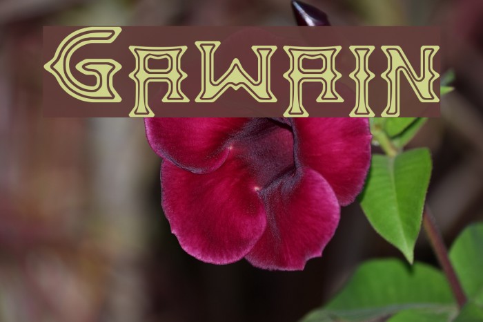Gawain Font examples