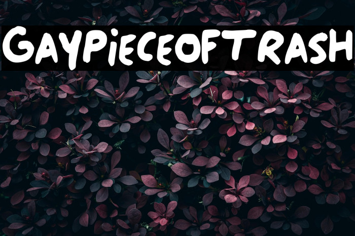 Gay_Piece_of_Trash Example 1