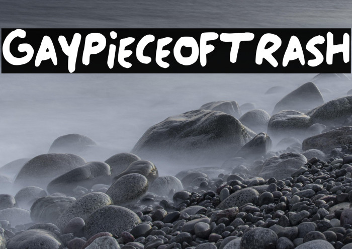 Gay_Piece_of_Trash Example 2