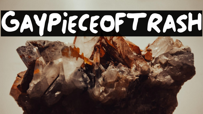 Gay_Piece_of_Trash Example 3