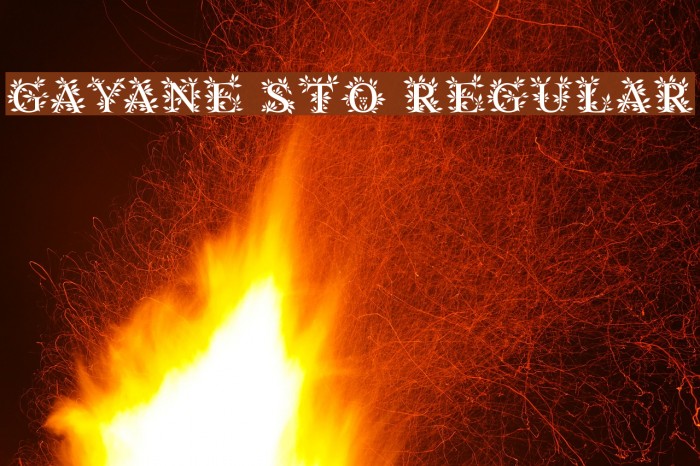 Gayane StO Regular Font examples