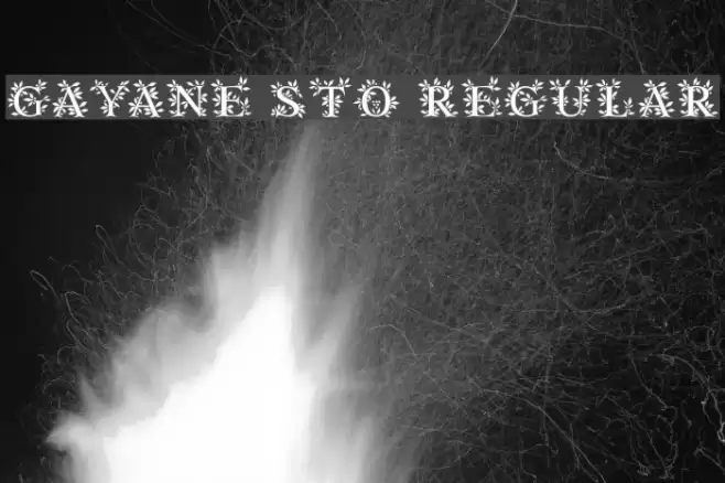 Gayane StO Regular Шрифта examples