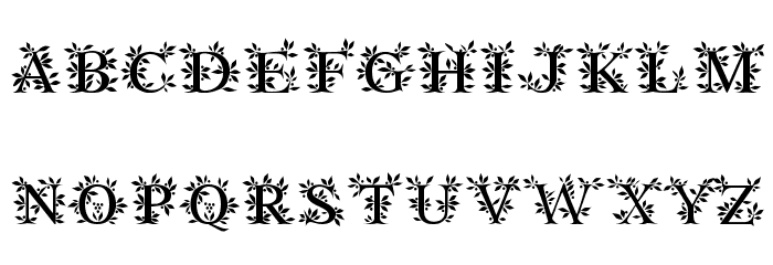 Gayane StO Regular Font LOWERCASE