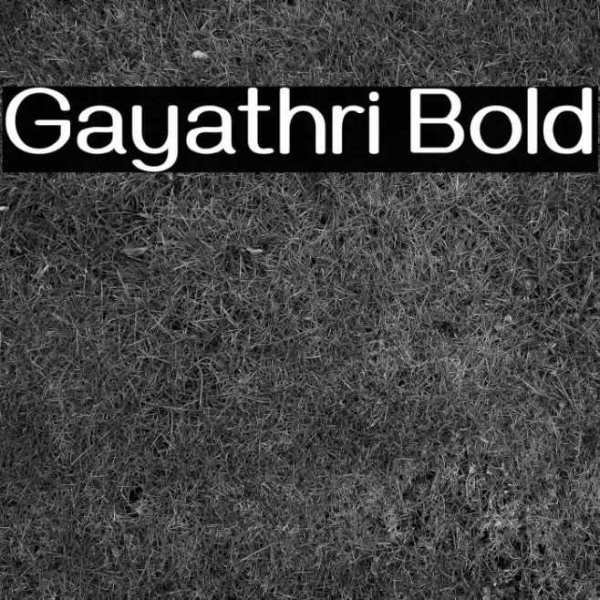 Gayathri Bold Font examples