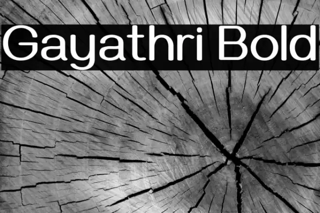 Gayathri Bold Font examples