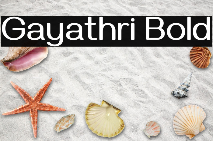 Gayathri Bold Font examples