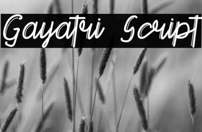 Gayatri Script Font examples