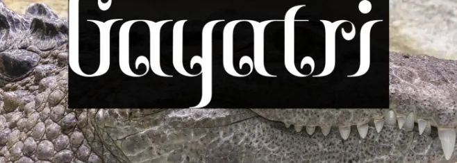 Gayatri Example 2