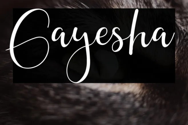 Gayesha Example 3