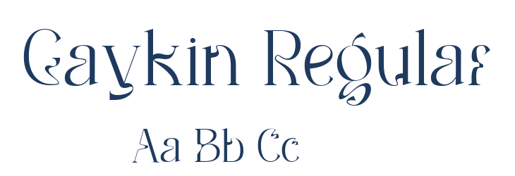 Gaykin Regular Font Preview