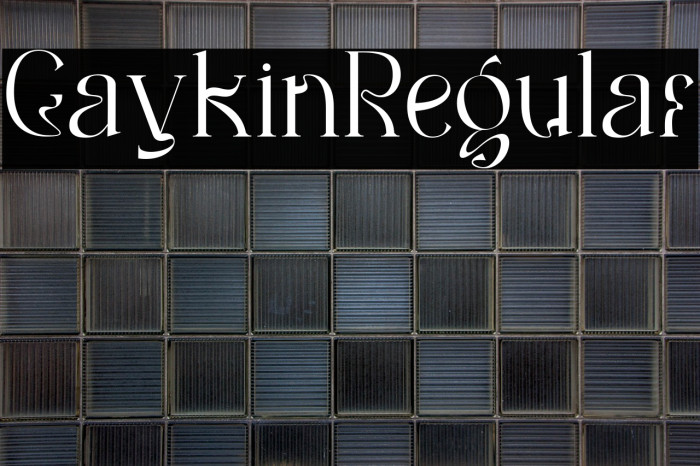 Gaykin Regular Example 1