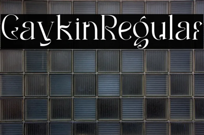 Gaykin Regular Example 1