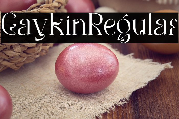 Gaykin Regular Example 2