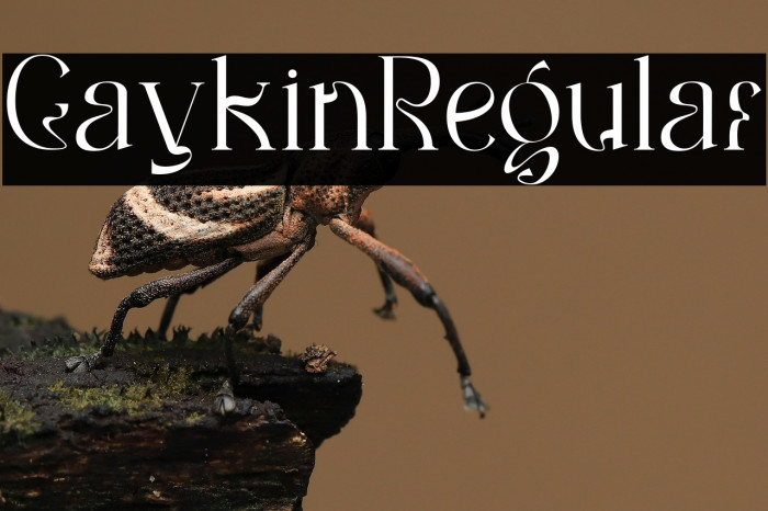 Gaykin Regular Example 3