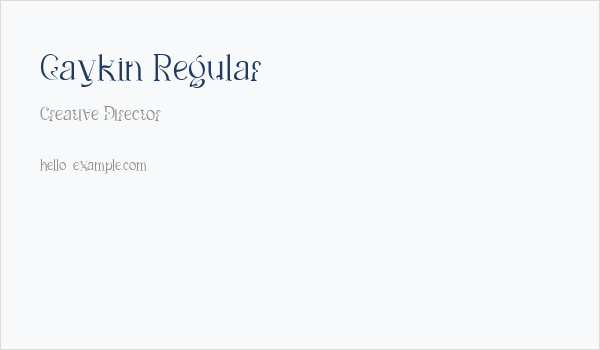 Gaykin Regular Business Card