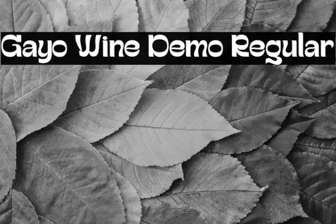 Gayo Wine Demo Regular Fonte examples