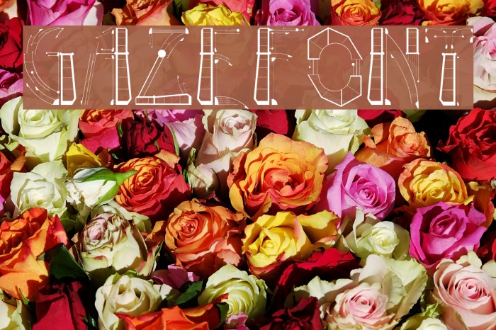 Gaze Font examples