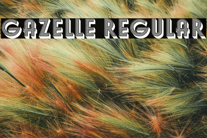 Gazelle Regular Example 3