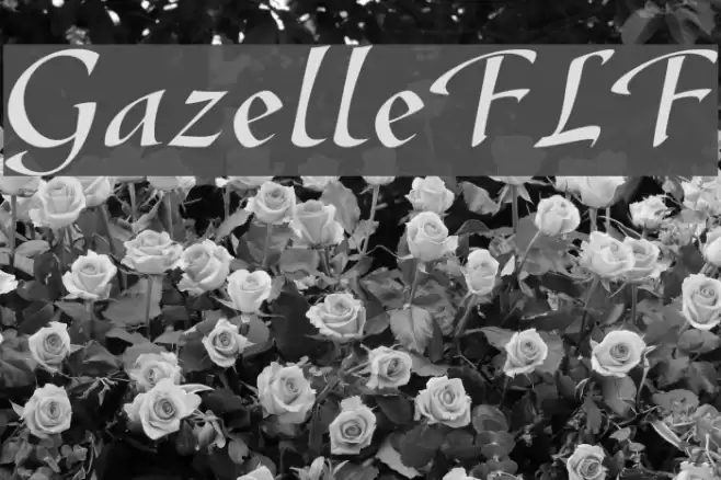 GazelleFLF Font examples
