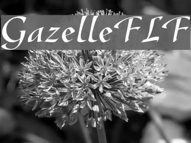 GazelleFLF Font examples