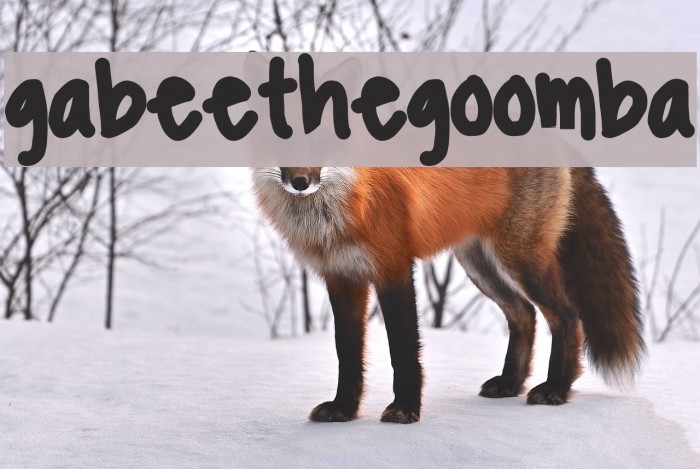 gabeethegoomba Font examples