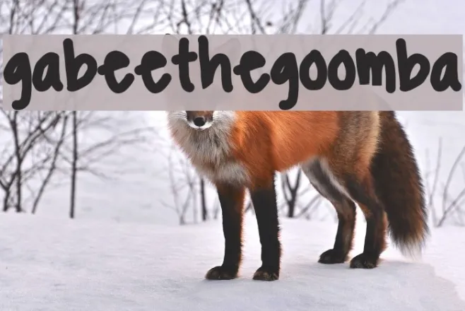 gabeethegoomba Example 2