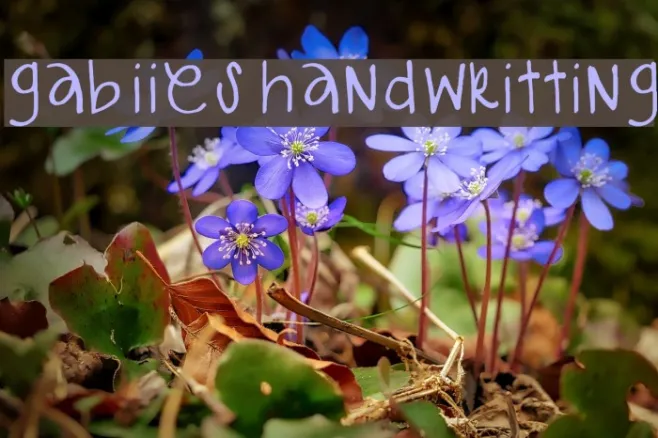 gabiies handwritting Example 1