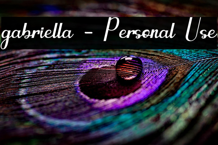 gabriella - Personal Use Example 1