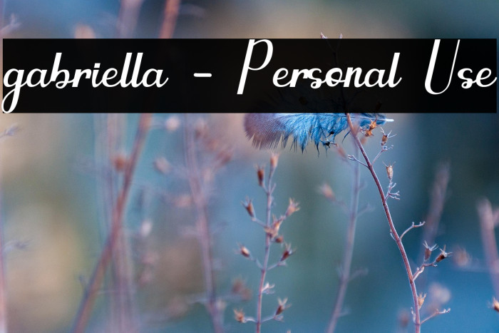 gabriella - Personal Use Example 2