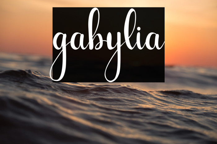 gabylia Example 3