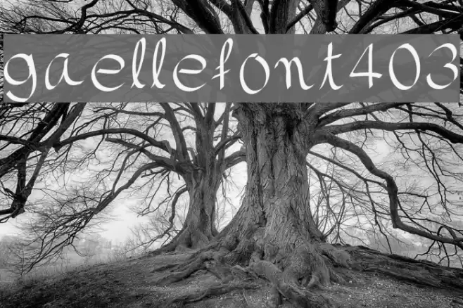 gaellefont403 Font examples