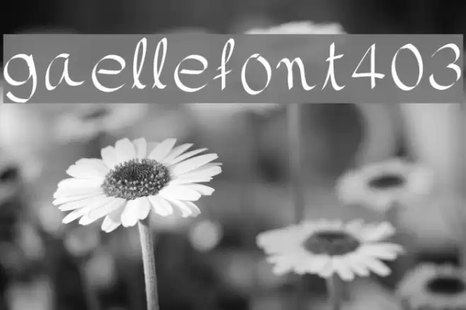 gaellefont403 Font examples