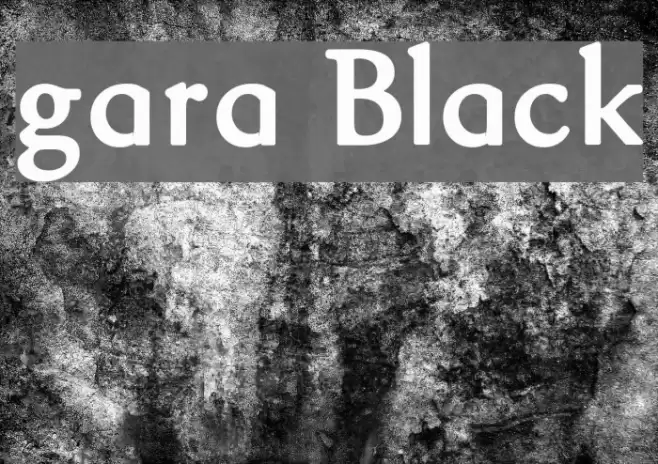 gara Black Polices examples