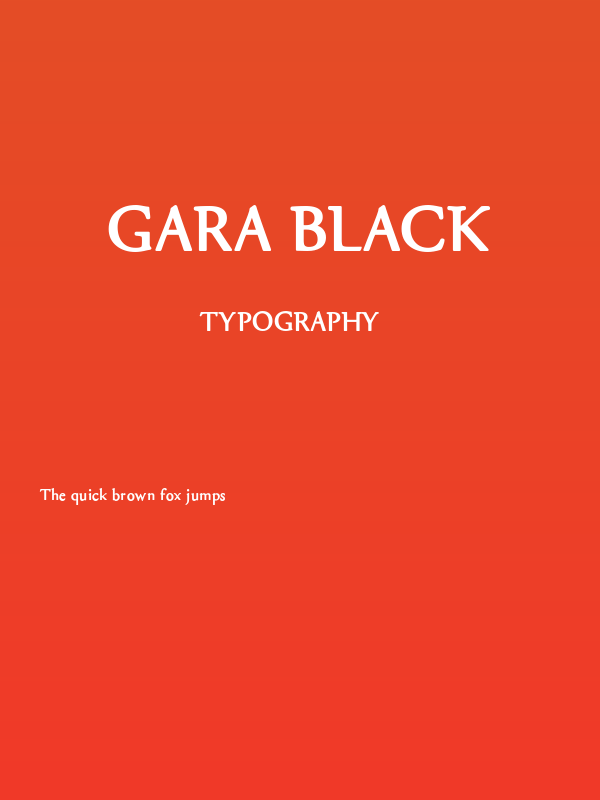 gara Black Poster