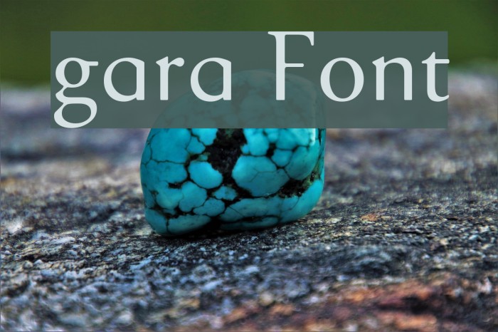 gara Font examples