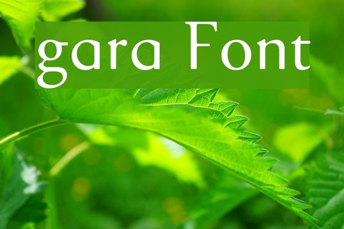 gara Font examples