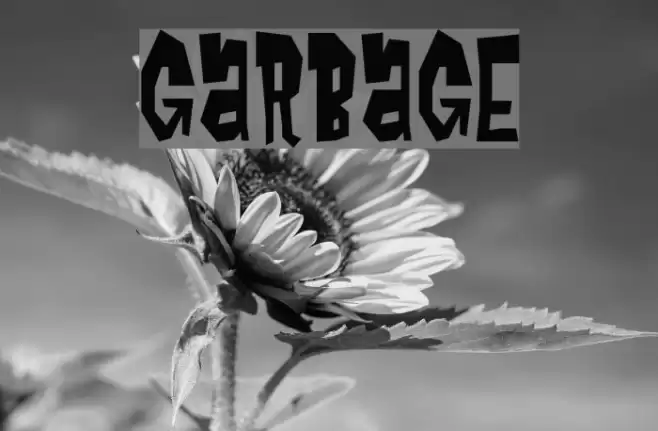 garbage Font examples