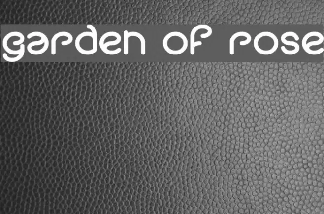 garden of rose Font examples