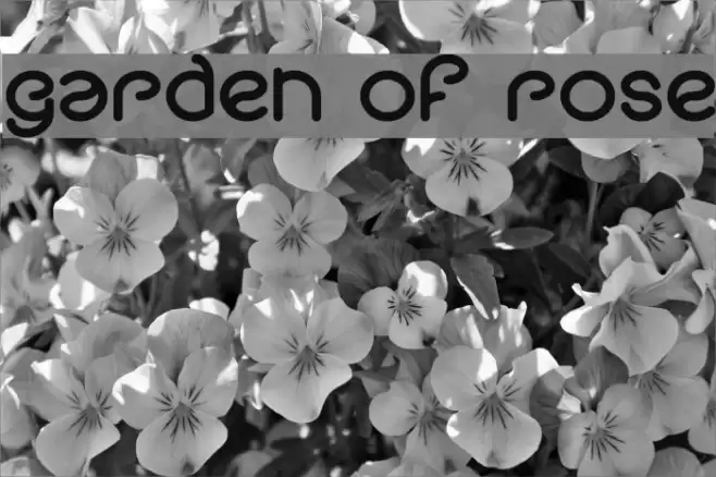 garden of rose Font examples