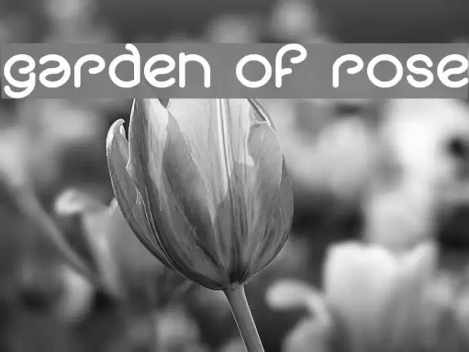 garden of rose Font examples