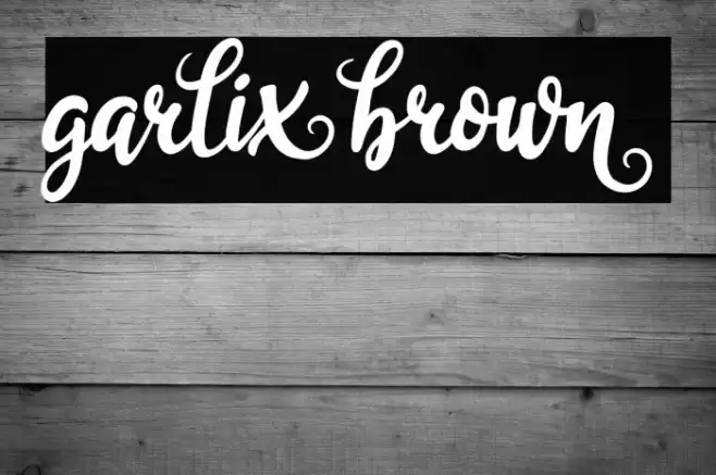 garliXbrowN Font examples